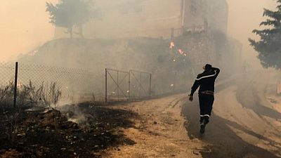 ارتفاع قتلى حرائق الغابات في الجزائر إلى 42