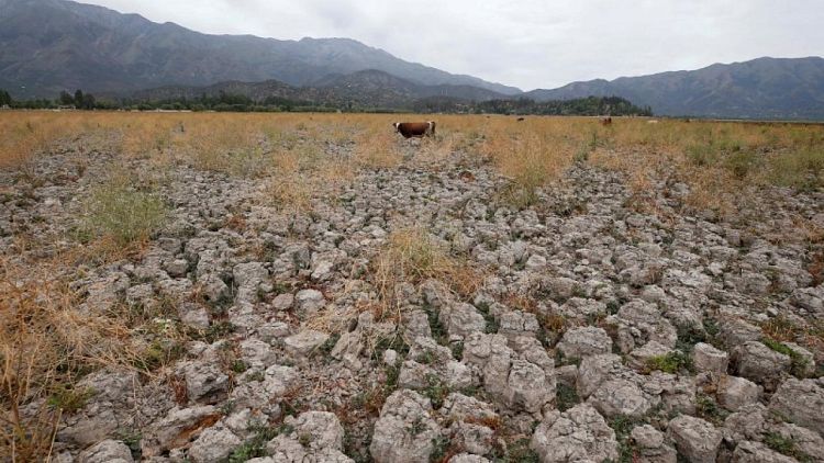 Una sequía sin precedentes en Chile enciende las alarmas