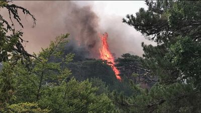 La strada per la Madonna di Polsi lambita dalle fiamme La strada per la Madonna di Polsi lambita dalle fiamme