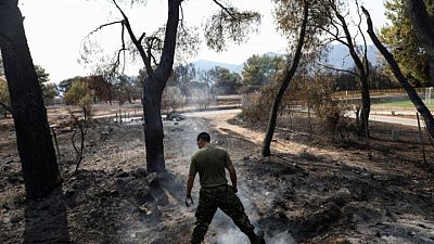 Greek villagers try to save homes as fire crews brace for winds whipping flames Greek villagers try to save homes as fire crews brace for winds whipping flames