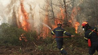 حرائق الغابات تحصد أرواح 65 في الجزائر ولا تزال تستعر في اليونان وإيطاليا