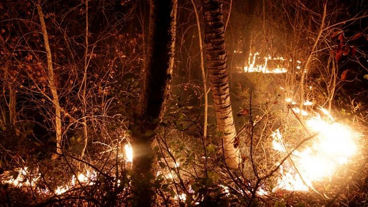 Incendios arrasan más de 150.000 hectáreas de bosque en Bolivia