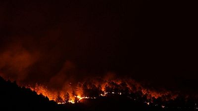 اندلاع حريق في غابات شرقي روما وإجلاء السكان