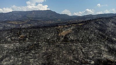 Greece appoints new minister to handle wildfire aftermath Greece appoints new minister to handle wildfire aftermath