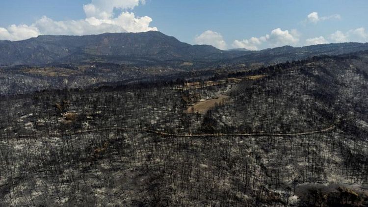 Greece appoints new minister to handle wildfire aftermath