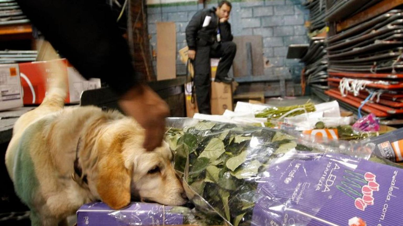 Ecuador se incauta de más de 9 toneladas de cocaína con destino a México y EEUU