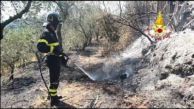 Le fiamme stanno interessando una superficie di 25 ettari Le fiamme stanno interessando una superficie di 25 ettari