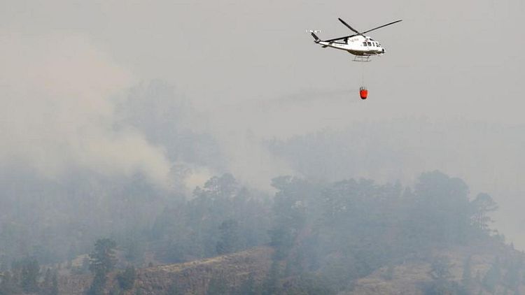 Un incendio forestal "incontrolado" en España fue provocado deliberadamente -autoridades