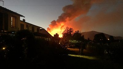Hanno perso controllo delle fiamme, indagini dei carabinieri Hanno perso controllo delle fiamme, indagini dei carabinieri