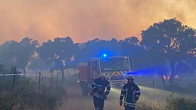 فرق الإطفاء تكافح حريق غابات ضخما في جنوب فرنسا