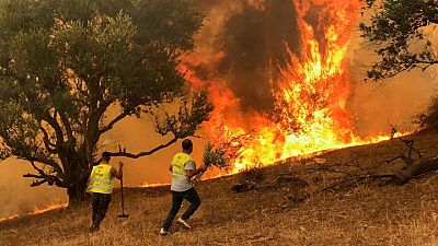 الجزائر تتهم مجموعة تقول إن لها صلات بالمغرب وإسرائيل بإشعال حرائق غابات الجزائر تتهم مجموعة تقول إن لها صلات بالمغرب وإسرائيل بإشعال حرائق غابات