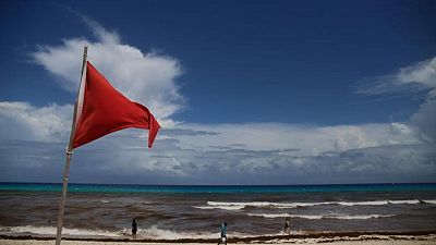 NHC says hurricane Grace makes landfall along Eastern Yucatan Peninsula