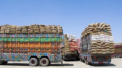 Trucks rolling across Afghanistan border as trade resumes