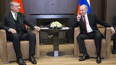 Putin, Erdogan agree to strengthen coordination on Afghan issues -Kremlin