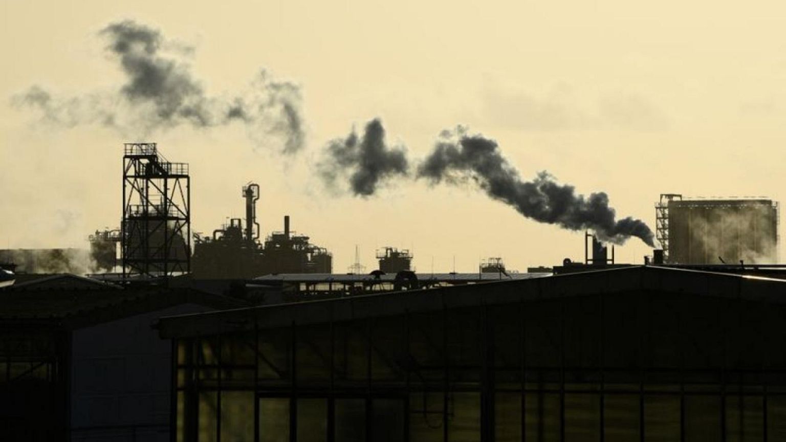 German private sector stays on growth path in August -PMI