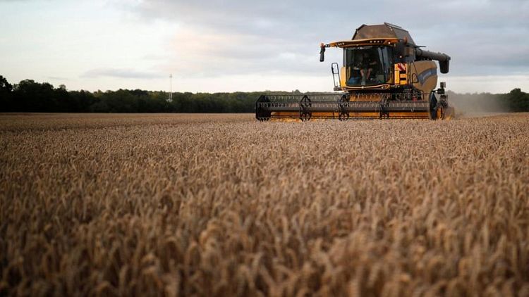 تونس تطرح مناقصة لشراء 100 ألف طن من القمح اللين ونفس الكمية من الشعير
