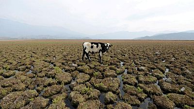 Cambio climático alimenta "mancha" caliente oceánica que causa una megasequía en Chile: estudio Cambio climático alimenta "mancha" caliente oceánica que causa una megasequía en Chile: estudio