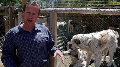 UK defence minister embroiled in row over Kabul animal charity UK defence minister embroiled in row over Kabul animal charity