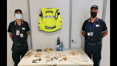 Il bilancio delle Dogane nei primi 15 giorni di agosto