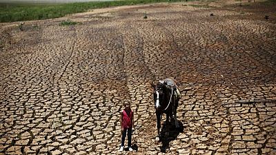 Lluvias de septiembre en Brasil, afectado por la sequía, serían muy inferiores al promedio