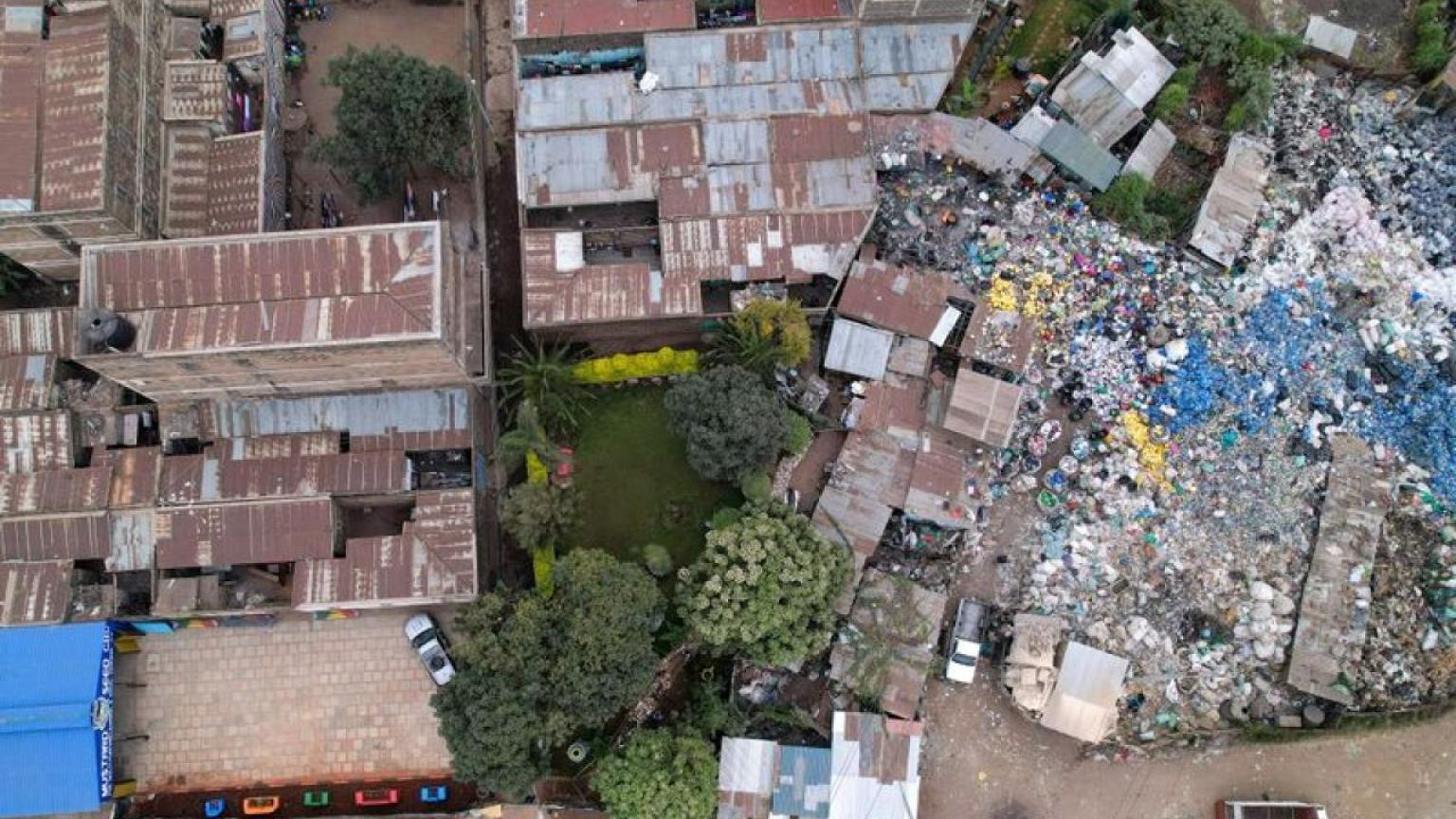 From garbage to garden, Nairobi resident helps slum bloom