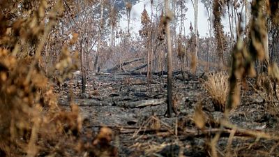 Países pobres dicen que falta de vacunas podrían excluirlos de conversaciones sobre clima Países pobres dicen que falta de vacunas podrían excluirlos de conversaciones sobre clima