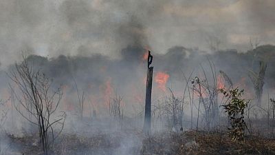Amazon fires surge anew in Brazil as cleared forest burns Amazon fires surge anew in Brazil as cleared forest burns