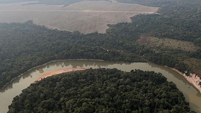 Indigenous leaders push new target to protect Amazon from deforestation Indigenous leaders push new target to protect Amazon from deforestation