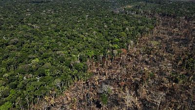 Líderes indígenas impulsan un nuevo objetivo para proteger el Amazonas de la deforestación Líderes indígenas impulsan un nuevo objetivo para proteger el Amazonas de la deforestación