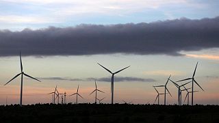 España realizará una subasta de renovables en octubre ante el aumento de la factura eléctrica