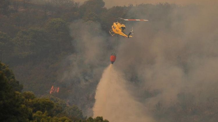 حريق غابات ضخم في جنوب إسبانيا يجبر 800 على الفرار