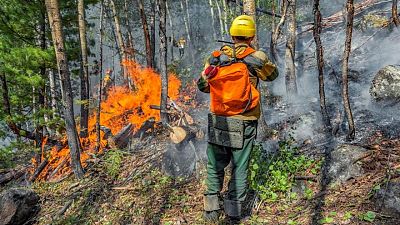 Russia's Yakutia province governor warns of more deadly wildfires next year Russia's Yakutia province governor warns of more deadly wildfires next year