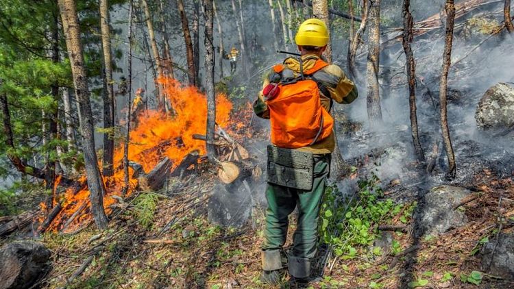 Russia's Yakutia province governor warns of more deadly wildfires next year