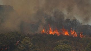 تقهقر رجال الإطفاء أمام استعار حريق غابات في إسبانيا