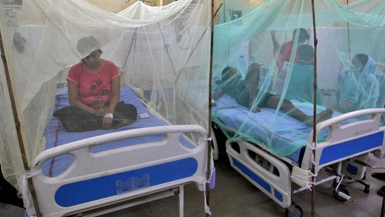 El dengue es la causa probable de decenas de muertes en el peor brote de un estado indio en años