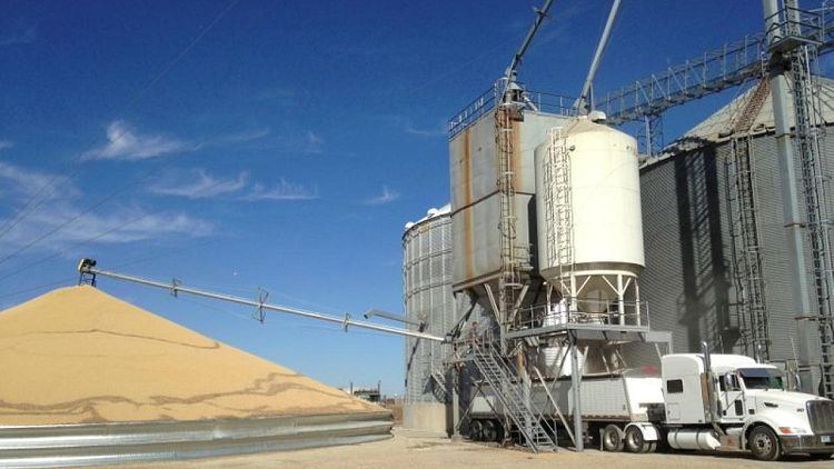 Exportaciones de granos EEUU se hunden, terminales del Golfo tratan de recuperarse de paso de Ida