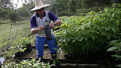 Los asesinatos de ecologistas en Colombia alcanzan un récord en 2020 Los asesinatos de ecologistas en Colombia alcanzan un récord en 2020