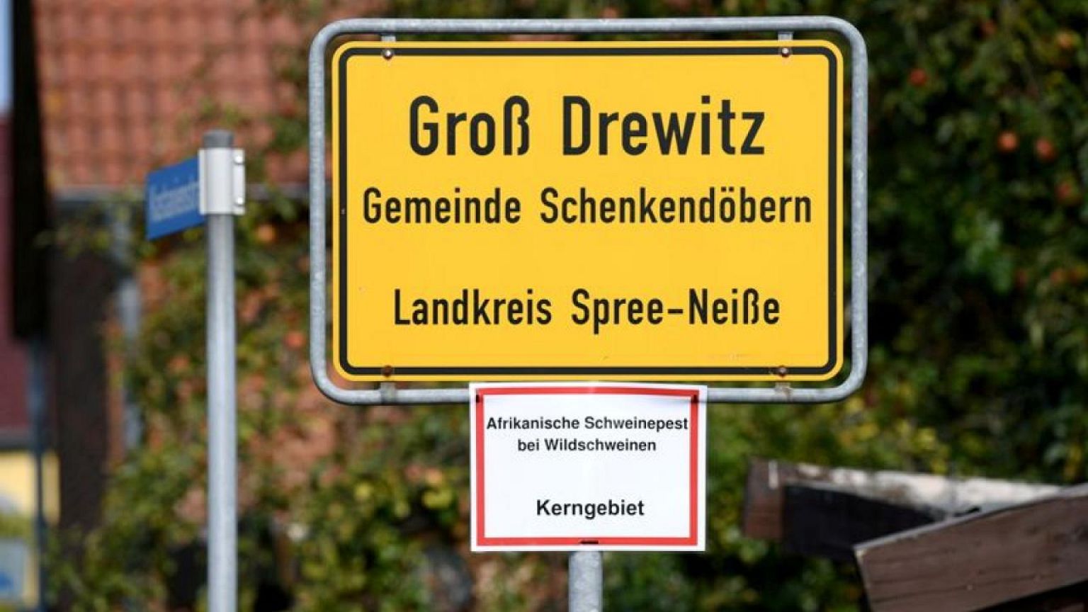 Second case of African swine flu in wild boar in Uckermark, east Germany