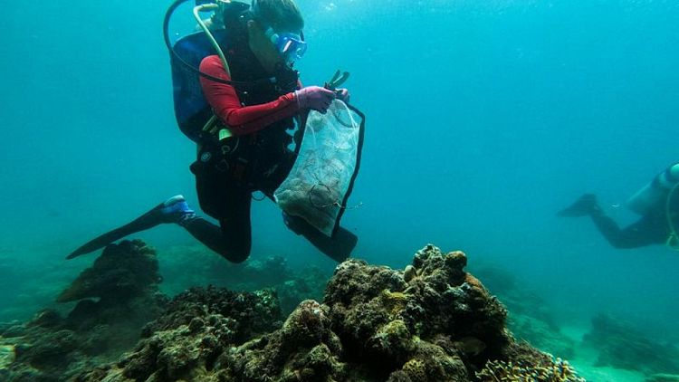 في يوم التنظيف العالمي.. غواصون يلتقطون نفايات من مياه شواطئ  الفلبين