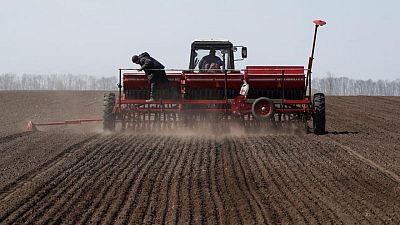 Exportaciones de granos de Ucrania aumentan 11,7% en lo que va de campaña 2021/2022: Gobierno