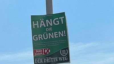 German court orders removal of 'Hang the Greens' posters