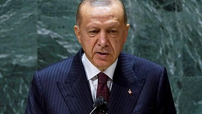 أردوغان يجري تغييرات بلجنة السياسة النقدية بالمركزي والليرة تهوي لمستوى قياسي