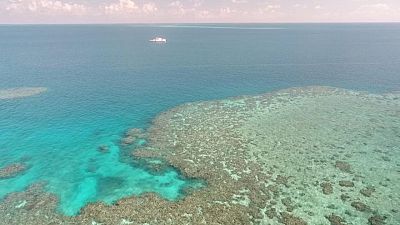 Little fluffy clouds may help save Australia's Great Barrier Reef