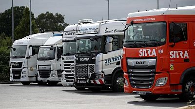 UK lorry driver crisis boosts transport software firm Microlise