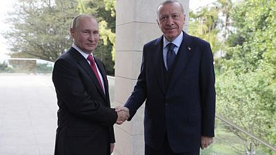 Russia's Putin and Turkey's Erdogan hold Syria, defence talks