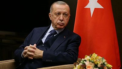 أردوغان: تركيا ستطرد السفير الأمريكي وتسعة سفراء لدول غربية أخرى