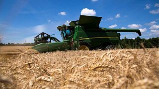 Futuros del trigo se disparan porque oferta en EEUU cae a mínimo de 14 años, soja cae