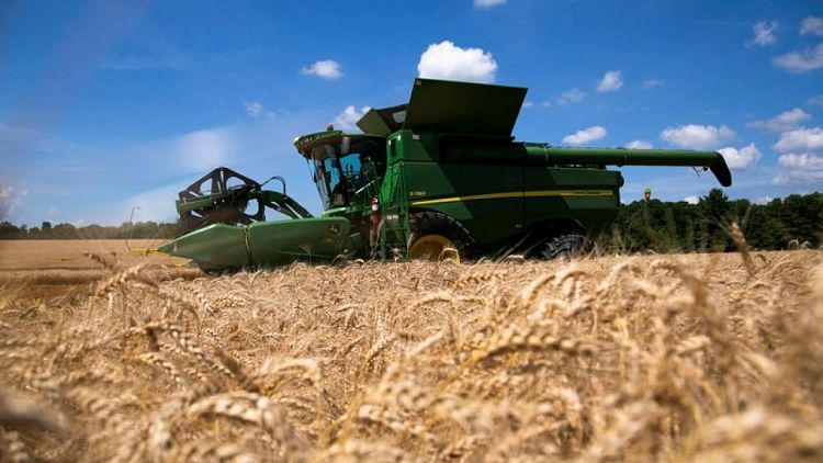 Futuros del trigo se disparan porque oferta en EEUU cae a mínimo de 14 años, soja cae