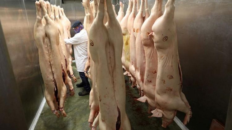 Muchas gasolineras británicas siguen vacías y crece el temor a un sacrificio masivo de cerdos