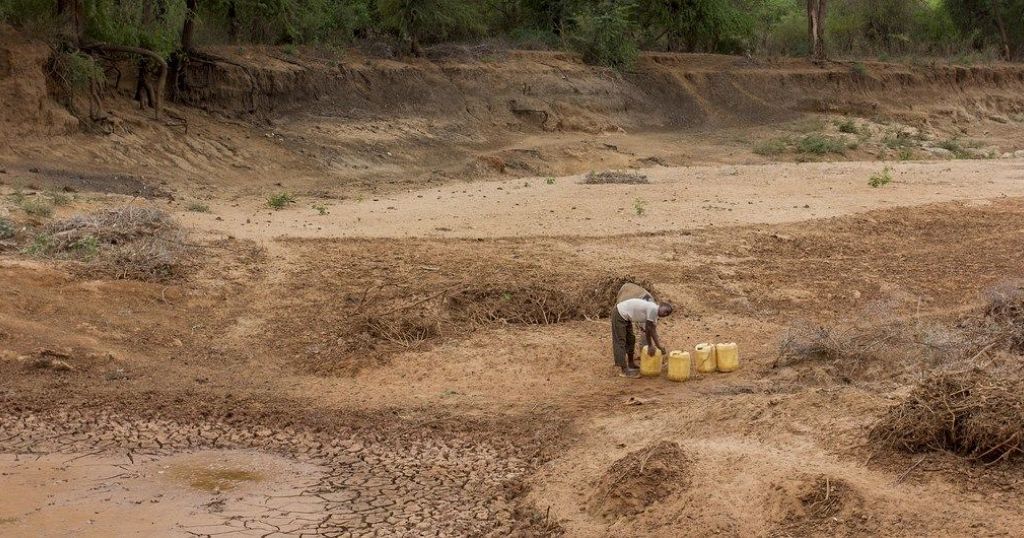 Flash Appeal launched as 2.5 million face 'dire situation' in Kenya - Vimarsana News